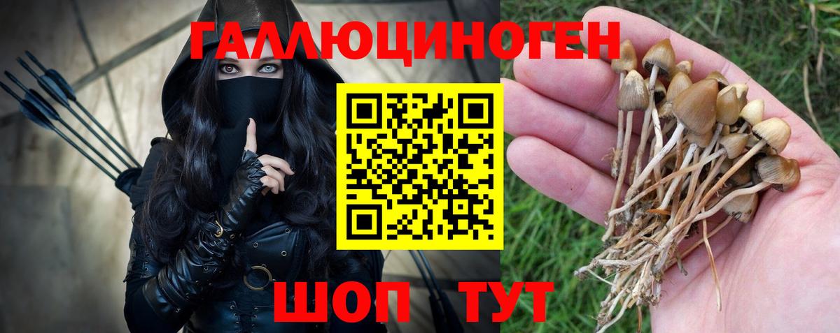 Псилоцибиновые грибы GOLDEN TEACHER  Вход с VPN  Междуреченск 
